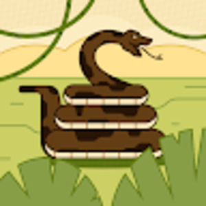 Meet your Posher, Tom